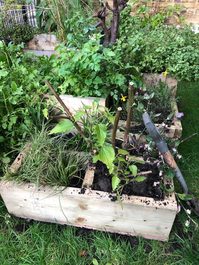 Photo from debmitchener(10)